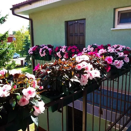 Pokoje Goscinne Diuna Alloggio in famiglia *